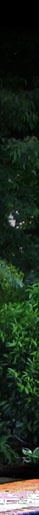 landscape background