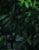 landscape background